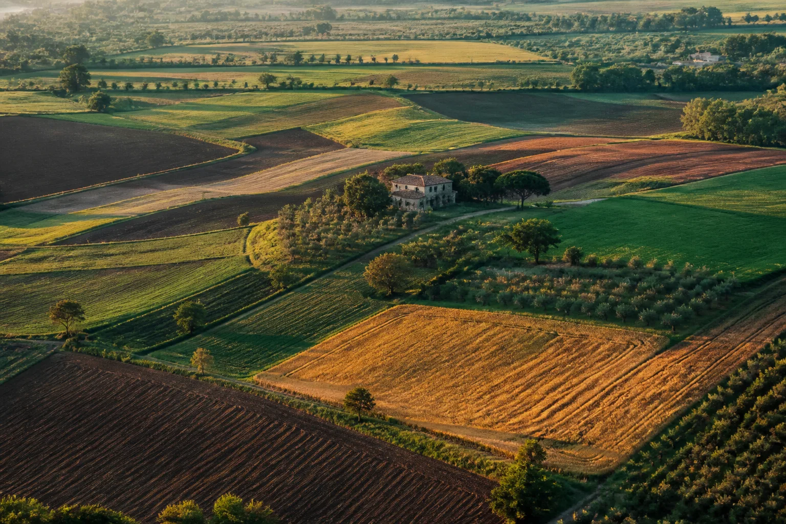 Mosaico di campi coltivati nella campagna italiana, il territorio sostenuto dai fondi della PAC