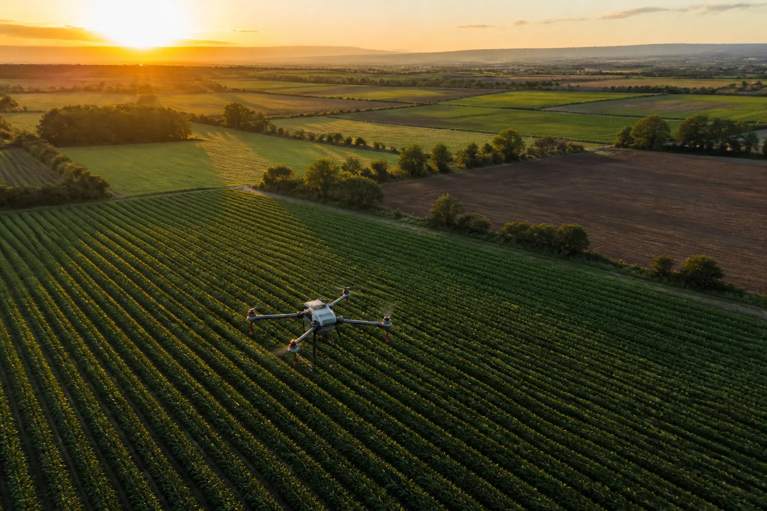 Drone multispettrale in volo su un campo per la mappatura delle infestanti