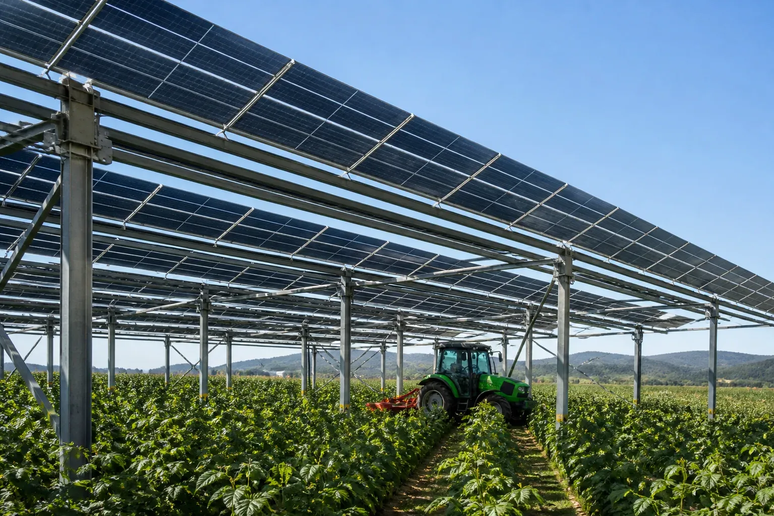 Impianto agrivoltaico con moduli sopraelevati e coltivazione sottostante